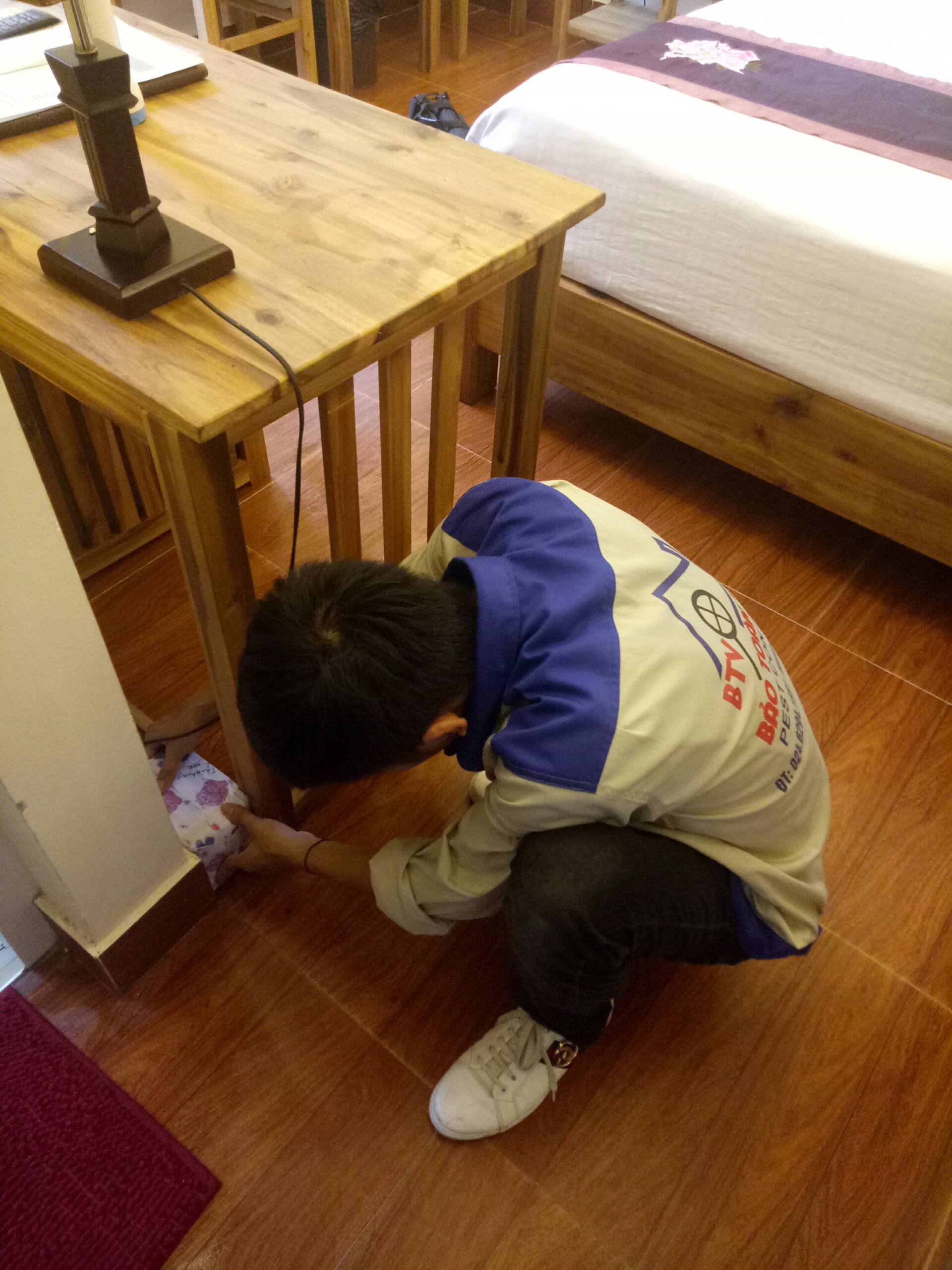 Diệt mối tận gốc tại Bắc Ninh – 0978.686.118 Cam Kết 100% Hiệu Quả Hết Mối