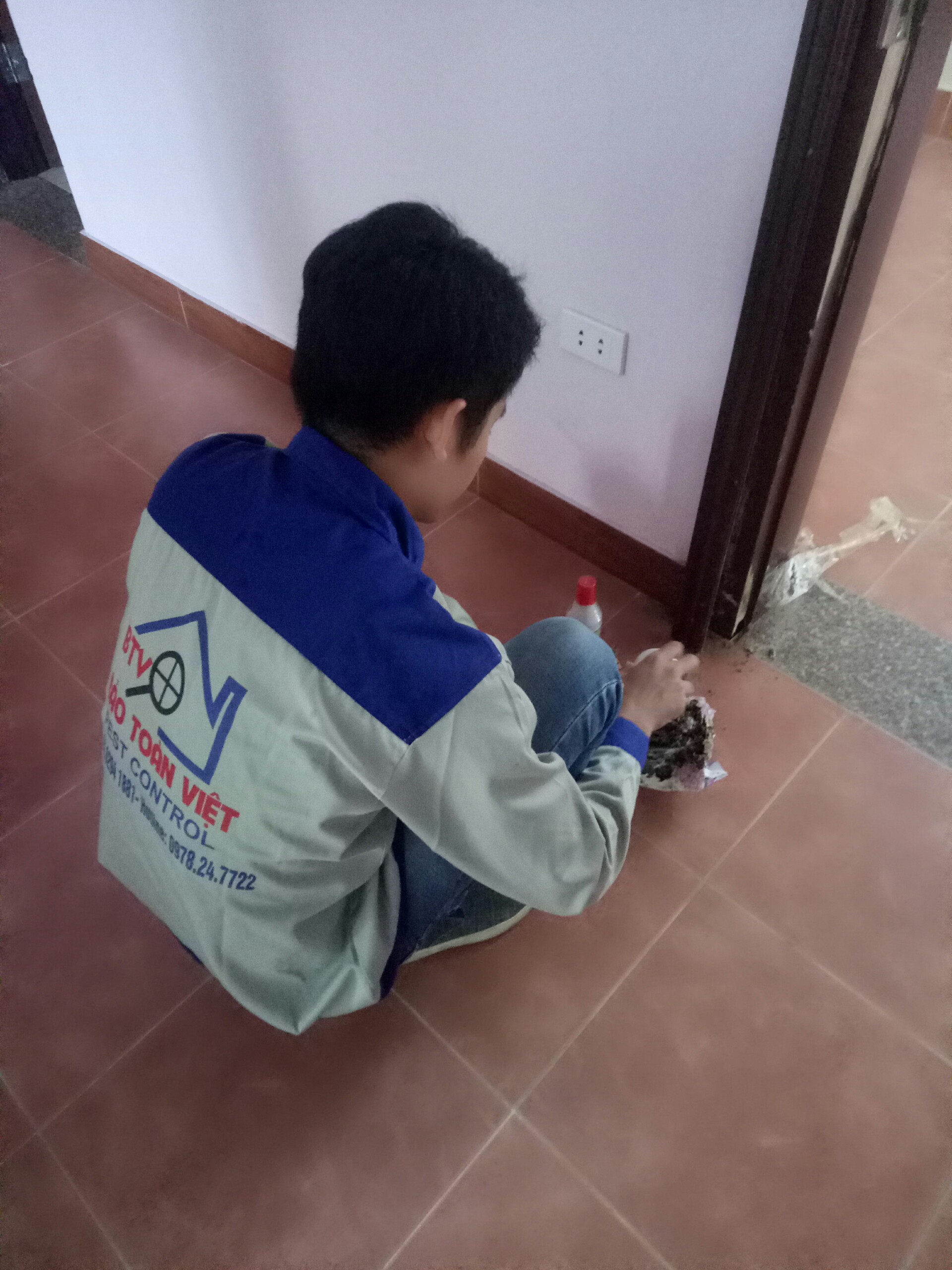 Diệt mối tận gốc tại Hải Dương – 0978.686.118 Cam Kết 100% Hiệu Quả Hết Mối