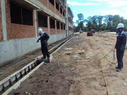 Phòng chống mối công trình tại Đồng Nai